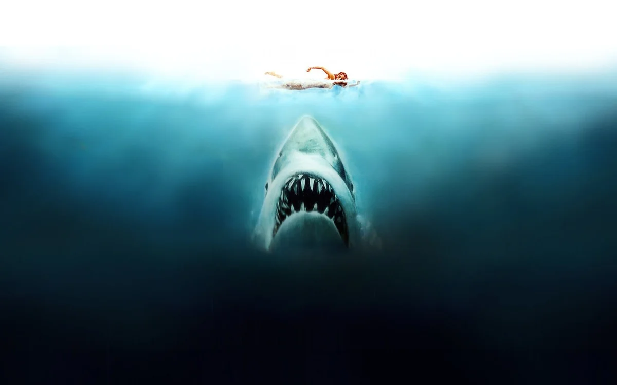 Jaws
